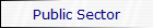 Public Sector